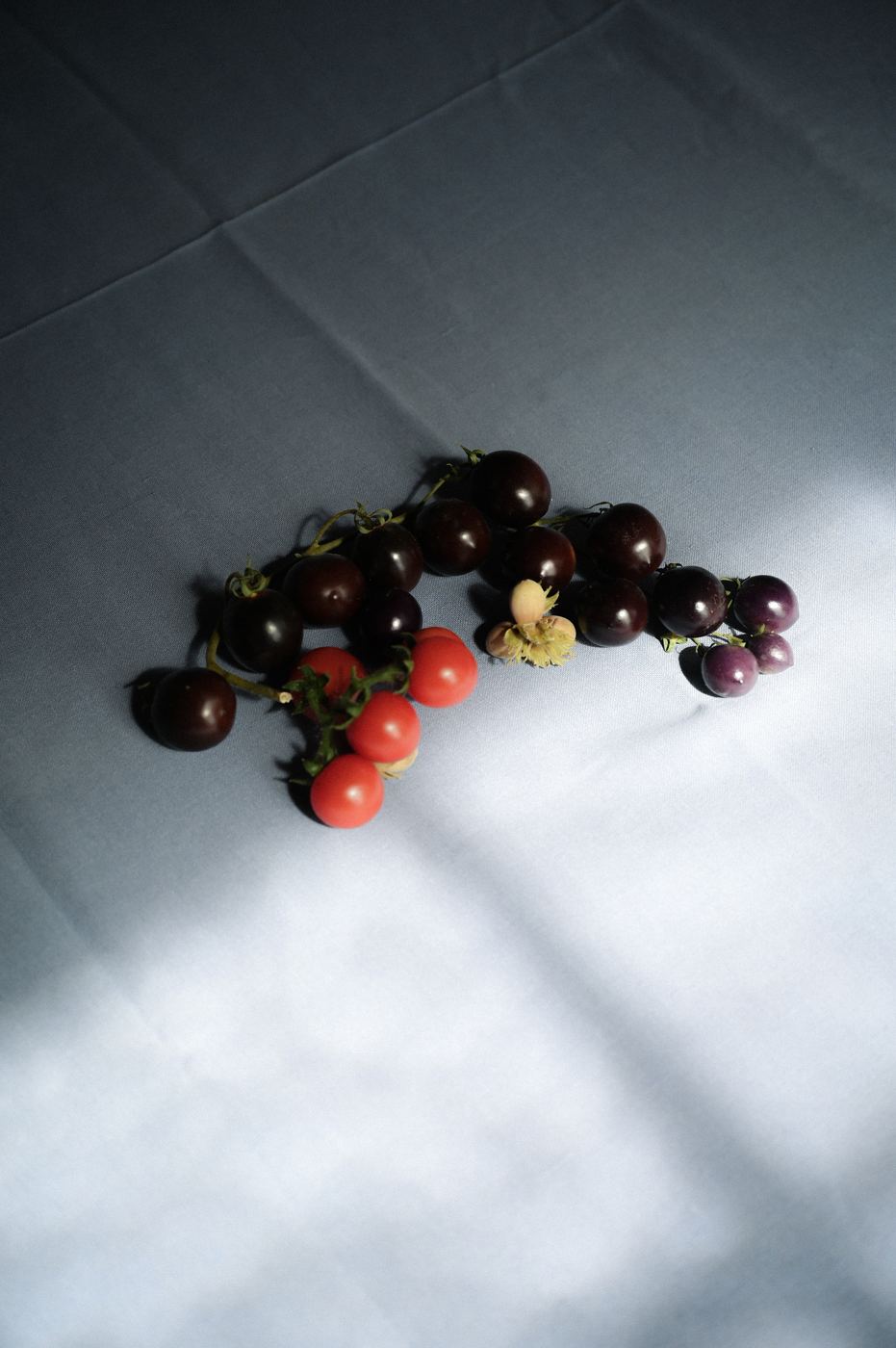 Stilleven met tomaten op een tafelkleed